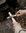 Lapp knife 245
