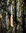 Superflex Filleting Knife 15