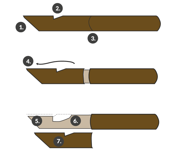 How To Make A Willow Whistle