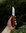 Cabin Chef Knife