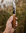 Lusto Annual Knife 2025