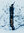 Hirvi Black
