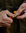 Mushroom Knife Ruska