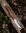 Mushroom Knife Kerääjä