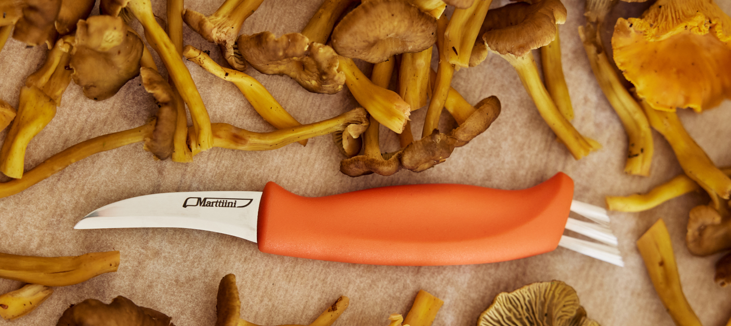 Marttiini Ruska Mushroom Knife and Mushrooms