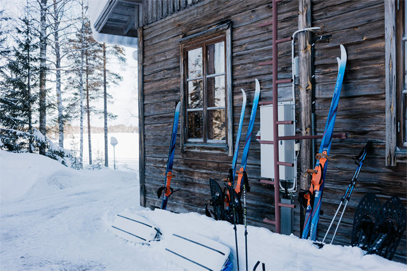 metsasukset-metsamokin-seinustalla