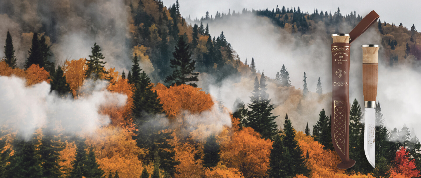 INSPIRAATIONA SUOMALAINEN METSÄ<BR>UUSI TAIGALEUKU